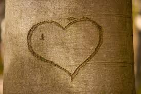 Un arbre avec un coeur gratiné dans la corce